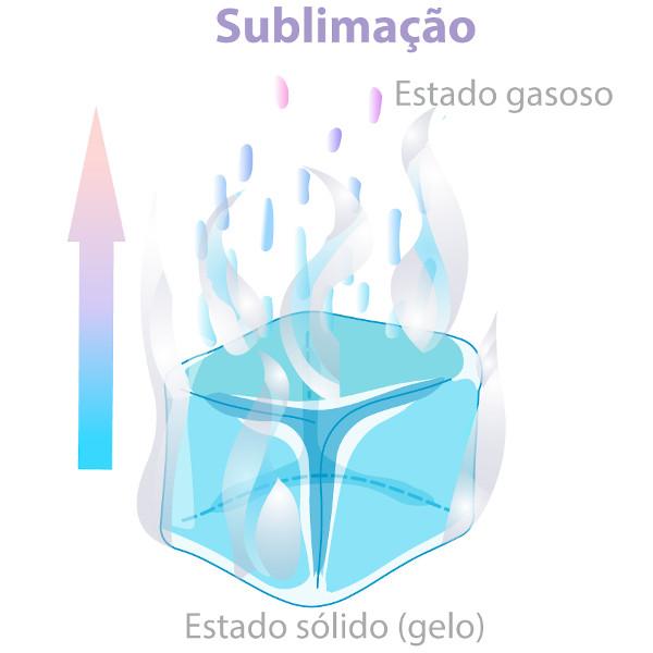 Sublimação: Guia Completo para Escolha do Melhor Tecido